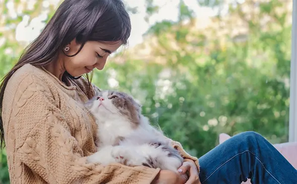 The Marvel of Vitamins: Promoting Beauty and Health in Your Adorable Cat
