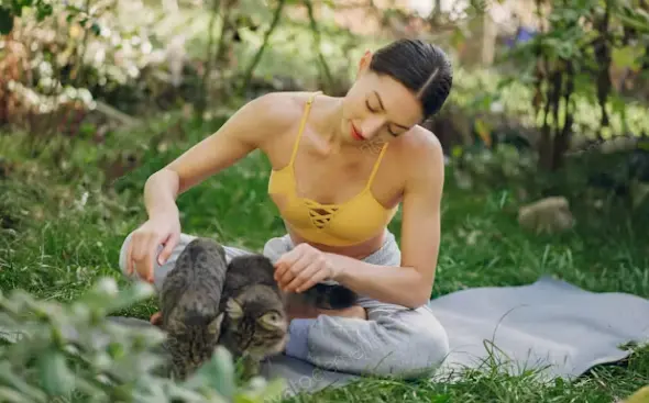 The Marvel of Vitamins: Promoting Beauty and Health in Your Adorable Cat